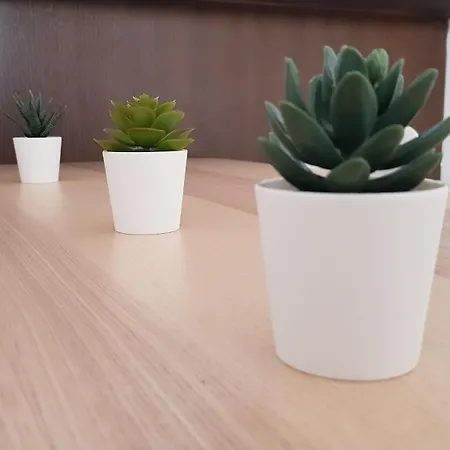 Apartamento Rated Huge Sunny Terrace Heated Pool Parking Wifi